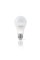 Світлодіодна лампа TITANUM A60 12W E27 3000K (TLA6012273)