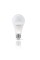Світлодіодна лампа TITANUM A65 15W E27 4100K (TLA6515274)