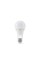 Світлодіодна лампа акумуляторна TITANUM A68 10W E27 4000K 220V (TL-EMA68-10274)